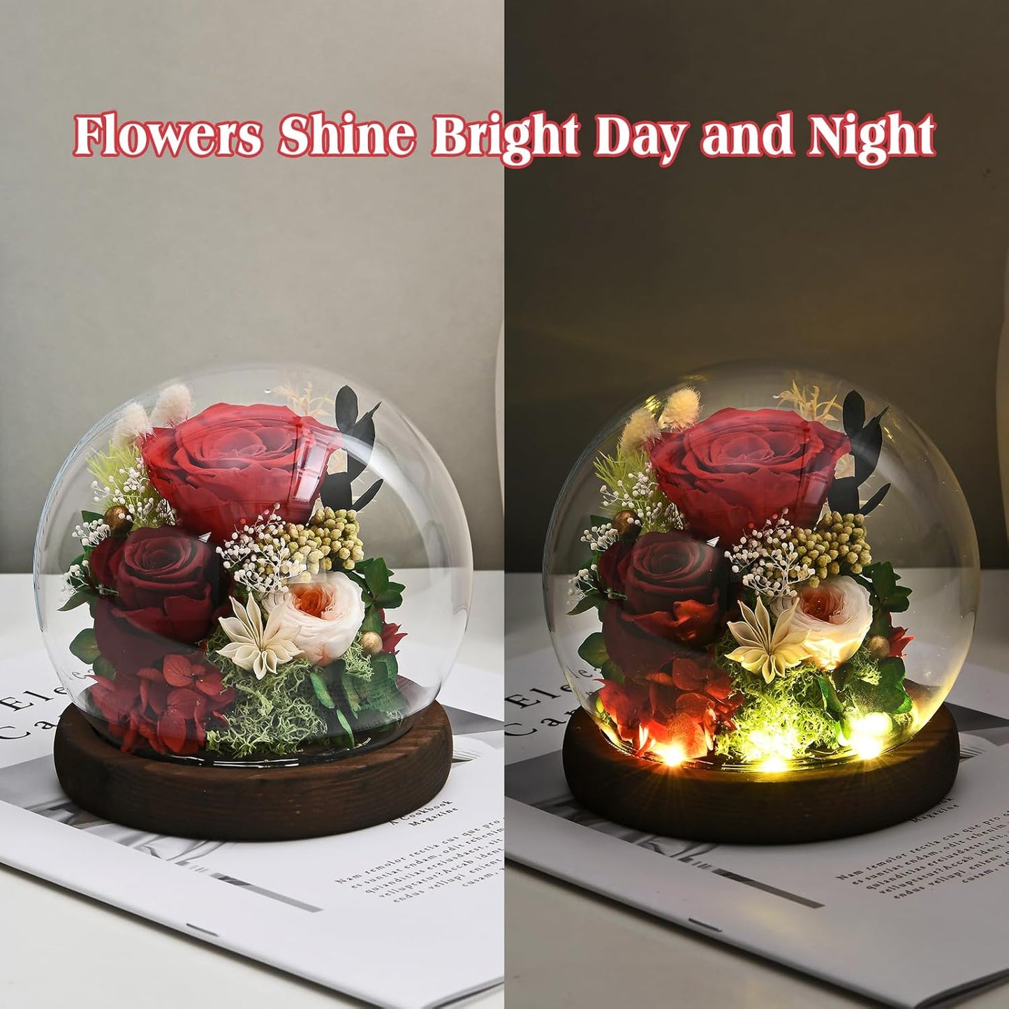 Gifts for Women, Rose Fresh Flowers in Glass Dome with LED Light, Real Roses Gifts for Wife Sister Girlfriend on Mother Day Birthday Valentine Day (red)