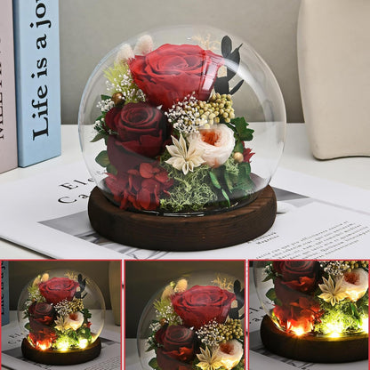 Gifts for Women, Rose Fresh Flowers in Glass Dome with LED Light, Real Roses Gifts for Wife Sister Girlfriend on Mother Day Birthday Valentine Day (red)