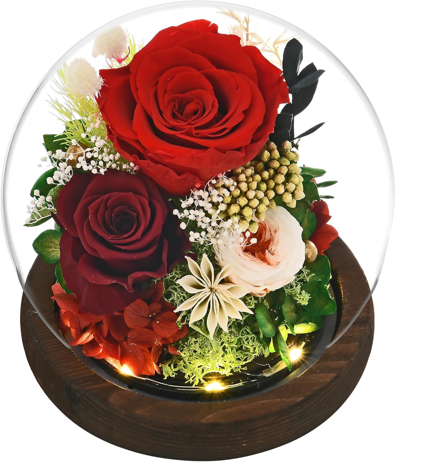 Gifts for Women, Rose Fresh Flowers in Glass Dome with LED Light, Real Roses Gifts for Wife Sister Girlfriend on Mother Day Birthday Valentine Day (red)